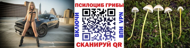 Галлюциногенные грибы мухоморы  Анива 