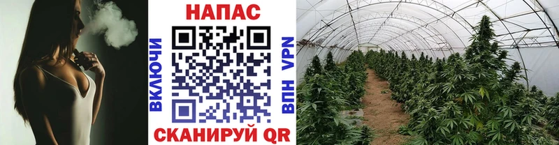 Марихуана White Widow  hydra зеркало  Анива 